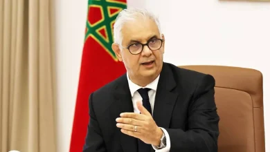 نزار بركة: مستوردو المواشي حققوا 13 مليار من الأرباح.. ومحلل سياسي يصف خرجته ب”الطنز العكري”
