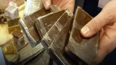 ضبط شخص أجنبي بحوزته 35 صفيحة من مخدر الشيرا