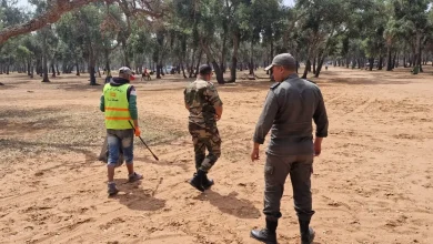 تنظيف وتأمين غابة سيدي عميرة