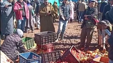 سرقة 9.2 مليون سنتيم من بائع خضر في ميضار