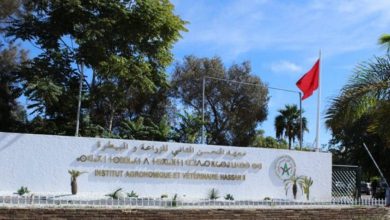 طلبة معهد الحسن الثاني للزراعة و البيطرة يحتجون على “التشريد”