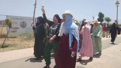 مولاي يعقوب