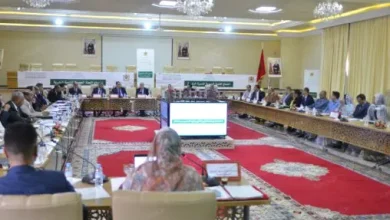 899 مشروعاً تنموياً بكلفة تفوق 500 مليون درهم بجهة كلميم-واد نون