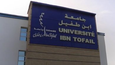 إعفاء رئيس جامعة ابن طفيل بالقنيطرة بعد جدل “حفل الشيخات”