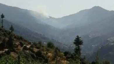الحسيمة.. اندلاع حريق مهول في غابة المنتزيت ببني بونصار