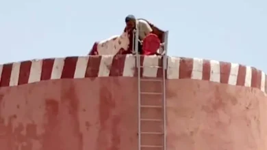 صورة متداولة