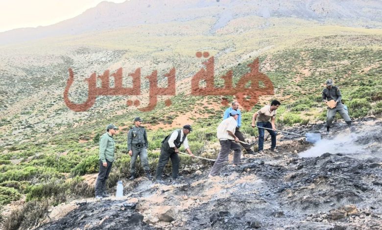 تدخل سريع يُخمد حريقًا غابويًا بجماعة بركين بإقليم جرسيف