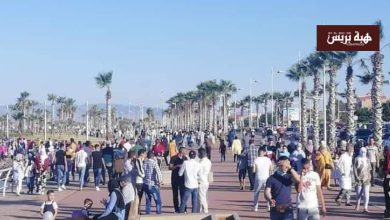 الجالية المغربية تعيد الحياة للناظور والدريوش وسط انتعاش اقتصادي لافت