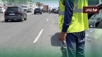 الوالدية رهينة مافيا المرابد.. زوار المدينة بين مطرقة الحراسة وسندان الفوضى