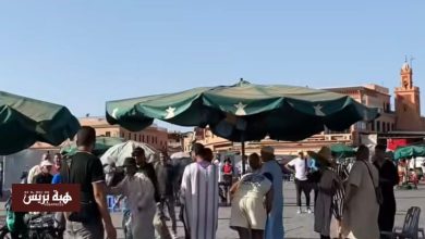 سلطات مراكش توقف نشاط حلقة لروّاض الثعابين بساحة جامع الفنا