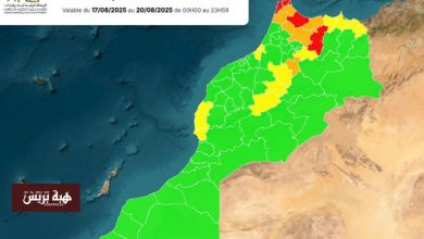 وكالة المياه والغابات تصدر نشرة تحذيرية بشأن مخاطر حرائق الغابات