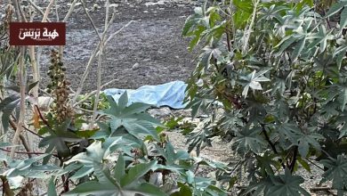 طنجة.. العثور على جثة مسن مفقود منذ أسبوعين بواد بير الشفاء